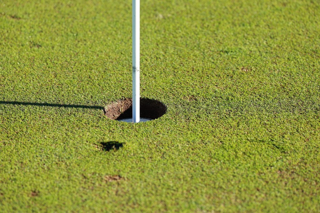 A close-up view shows a golf hole and flagstick on a well‑manicured putting green.